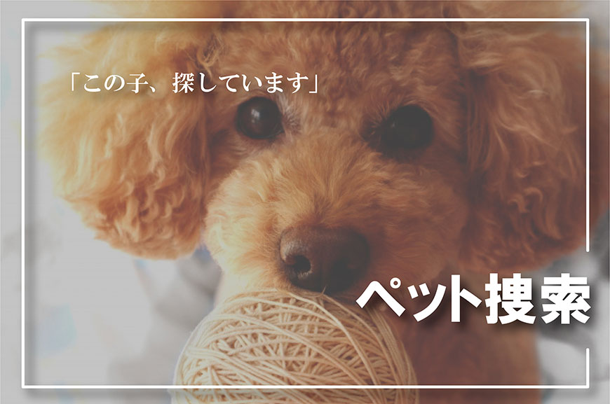 【東京都　探偵】ペット捜索｜東京都でペット捜索で探偵をお探しならスマイルエージェント東京にお任せください。